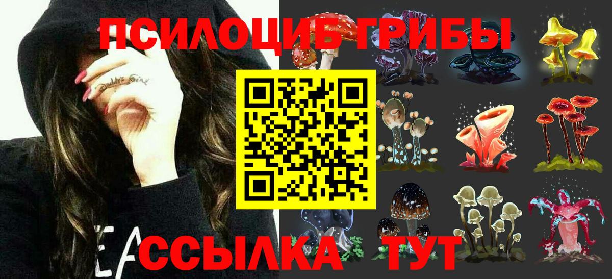 Галлюциногенные грибы мухоморы  Вход с VPN  Тамбов  Галлюциногенные грибы Psilocybe 